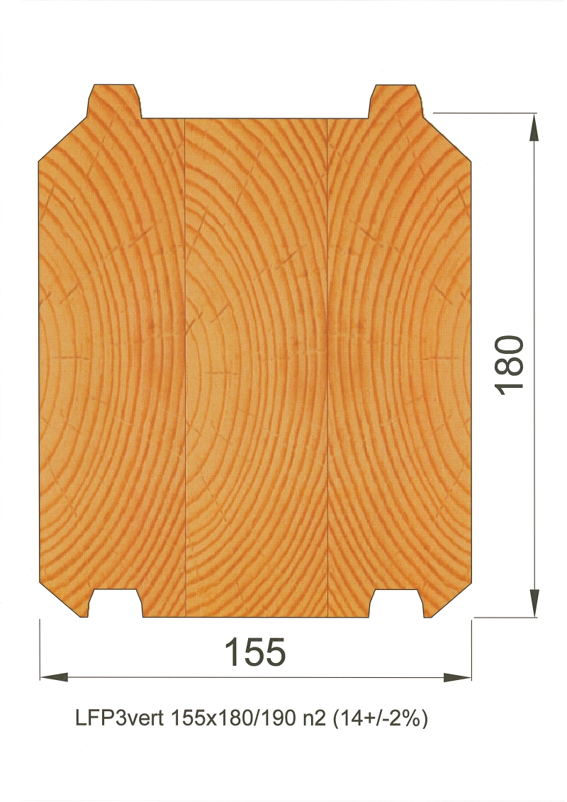 Palgiprofiil_155